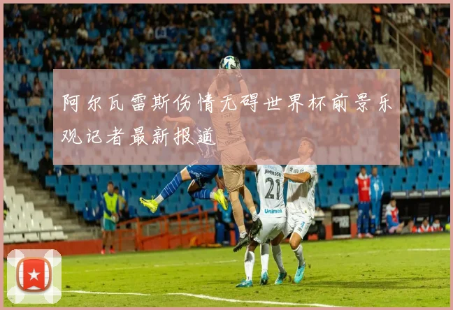 阿尔瓦雷斯伤情无碍世界杯前景乐观记者最新报道