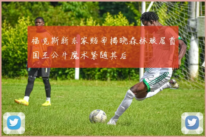 福克斯新东家赔率揭晓森林狼居首国王公牛魔术紧随其后